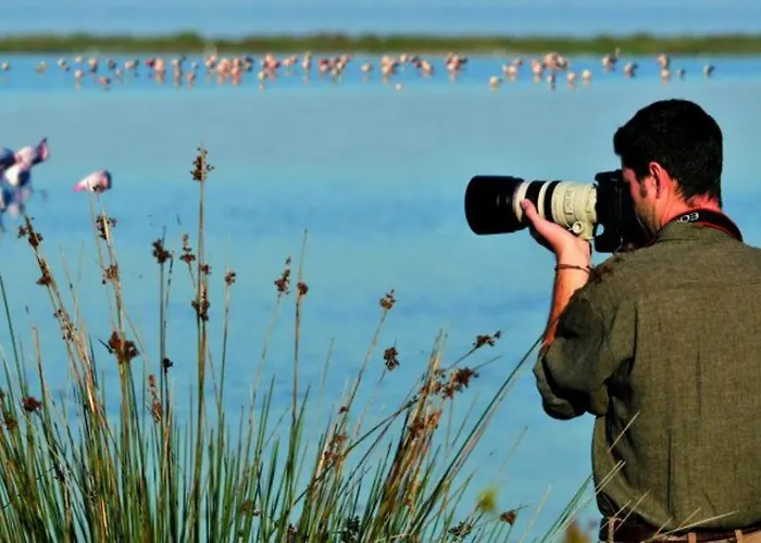 Turistico A 拉文纳